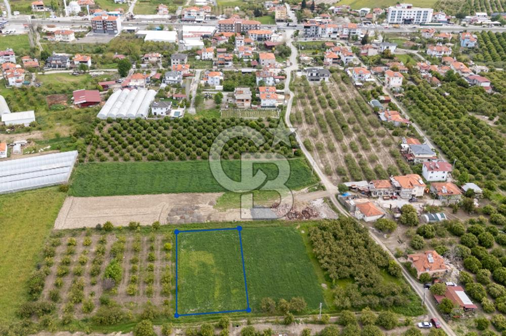 ORTACA YERBELENİDE İMARA SINIR RIZAİ TAKSİMLİ SATILIK TARLA