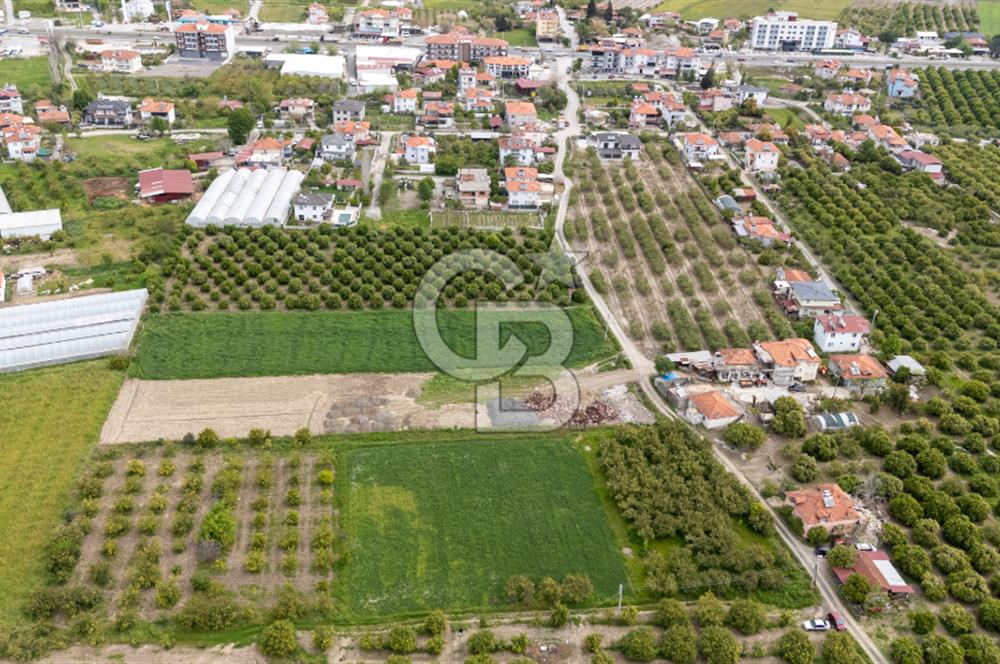 ORTACA YERBELENİDE İMARA SINIR RIZAİ TAKSİMLİ SATILIK TARLA