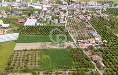 ORTACA YERBELENİDE İMARA SINIR RIZAİ TAKSİMLİ SATILIK TARLA