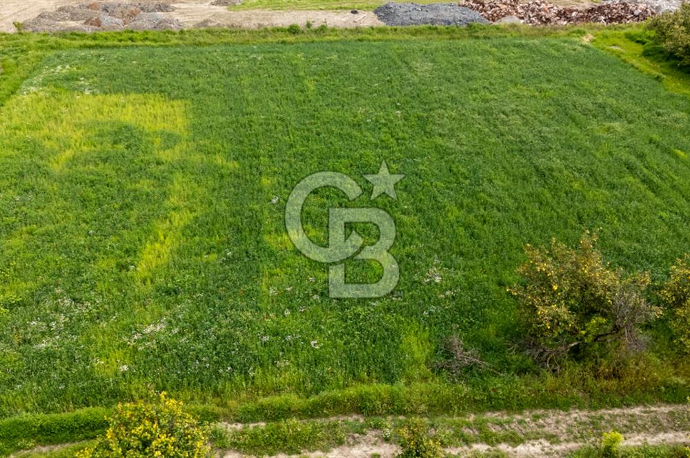 ORTACA YERBELENİDE İMARA SINIR RIZAİ TAKSİMLİ SATILIK TARLA