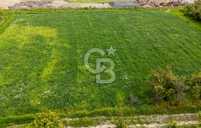 ORTACA YERBELENİDE İMARA SINIR RIZAİ TAKSİMLİ SATILIK TARLA