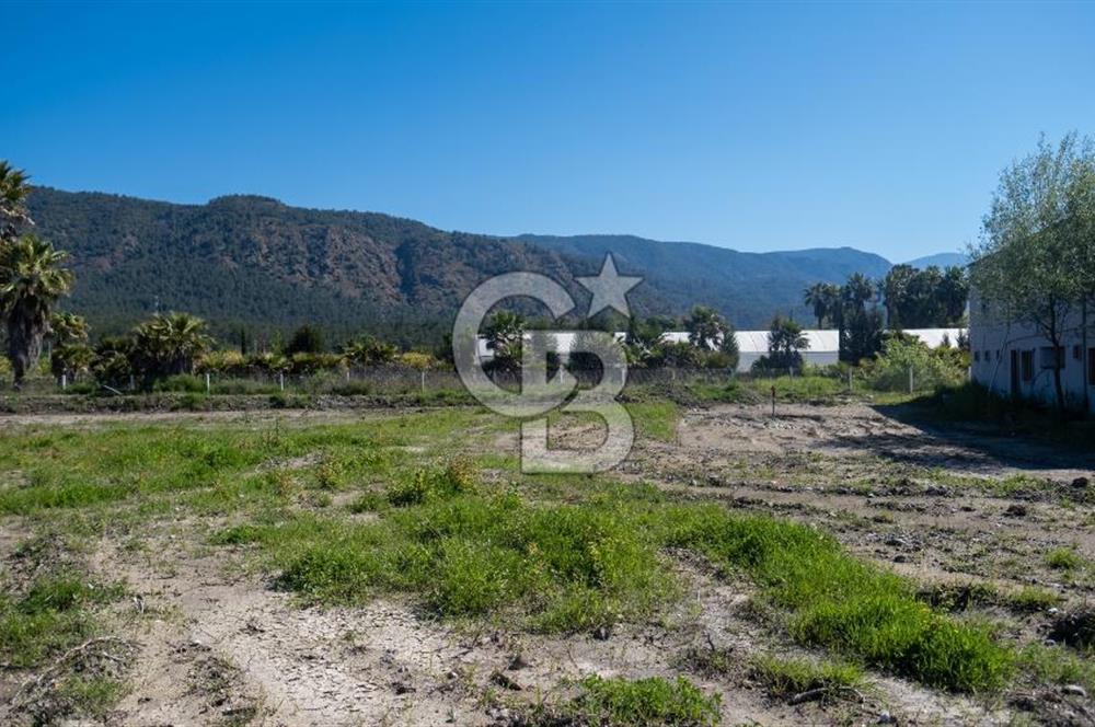 Köyceğiz Döğüşbelen de KİRALIK 13 Bağımsız Ünite