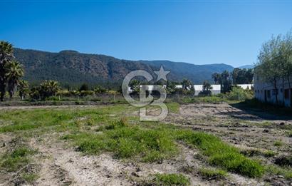 Köyceğiz Döğüşbelen de KİRALIK 13 Bağımsız Ünite