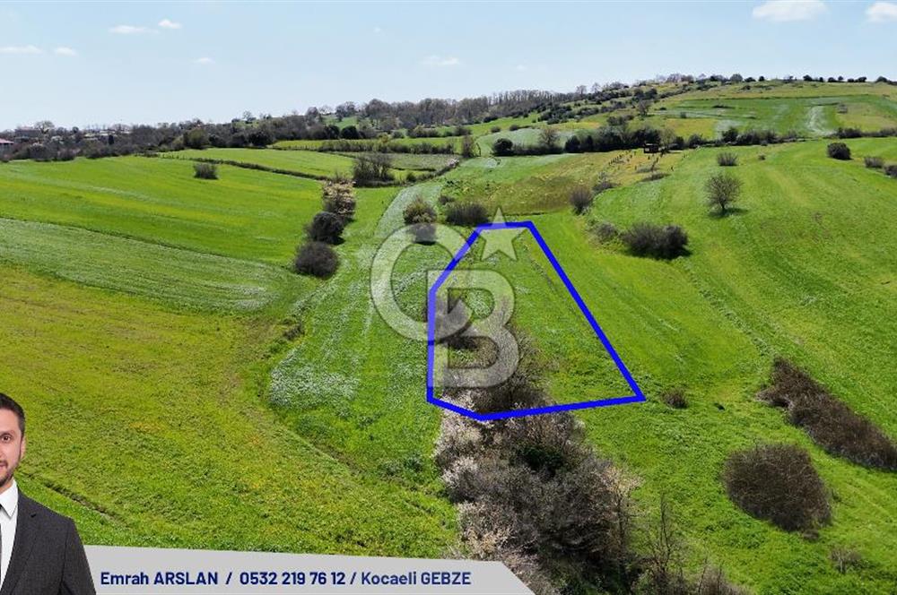 Kandıra Balcı da Ana yola Yakın Satılık Tek Tapu 270 m² Tarla