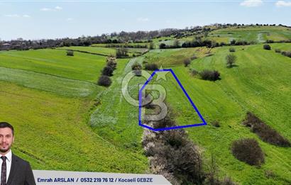 Kandıra Balcı da Ana yola Yakın Satılık Tek Tapu 270 m² Tarla
