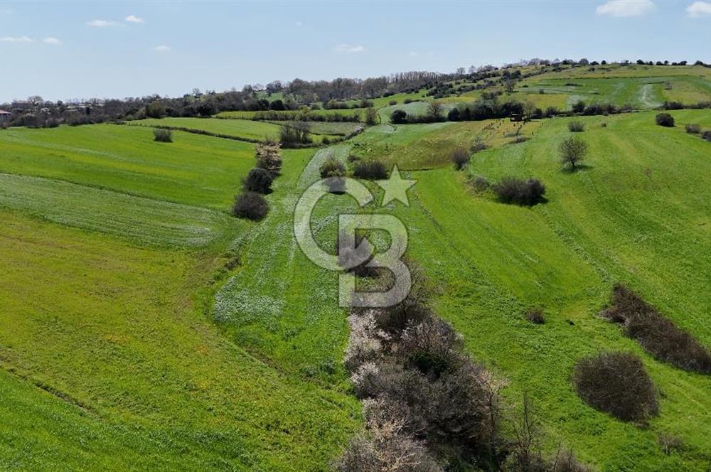 Kandıra Balcı da Ana yola Yakın Satılık Tek Tapu 270 m² Tarla