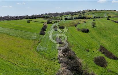 Kandıra Balcı da Ana yola Yakın Satılık Tek Tapu 270 m² Tarla