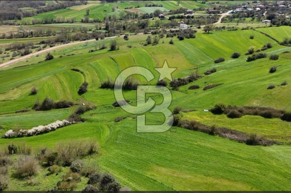 Kandıra Balcı da Ana yola Yakın Satılık Tek Tapu 270 m² Tarla