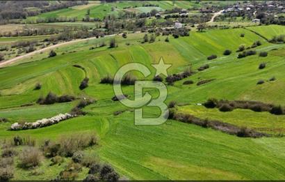 Kandıra Balcı da Ana yola Yakın Satılık Tek Tapu 270 m² Tarla