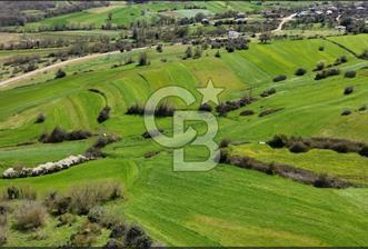 Kandıra Balcı da Ana yola Yakın Satılık Tek Tapu 270 m² Tarla - 7 - 345524