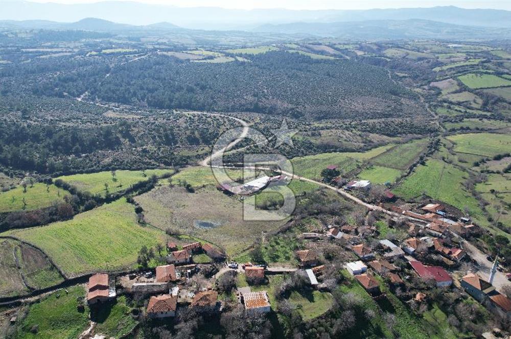 Çanakkale Bayramiç Yeniceköy Satılık Arsa 7630 M2 İmarlı