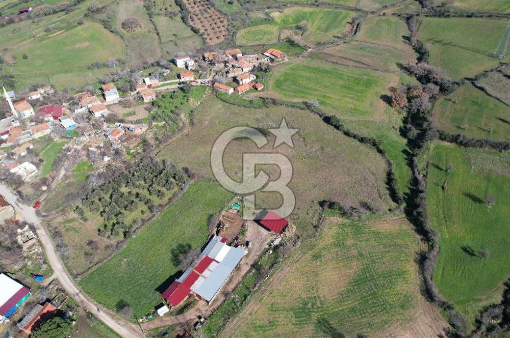 Çanakkale Bayramiç Yeniceköy Satılık Arsa 7630 M2 İmarlı