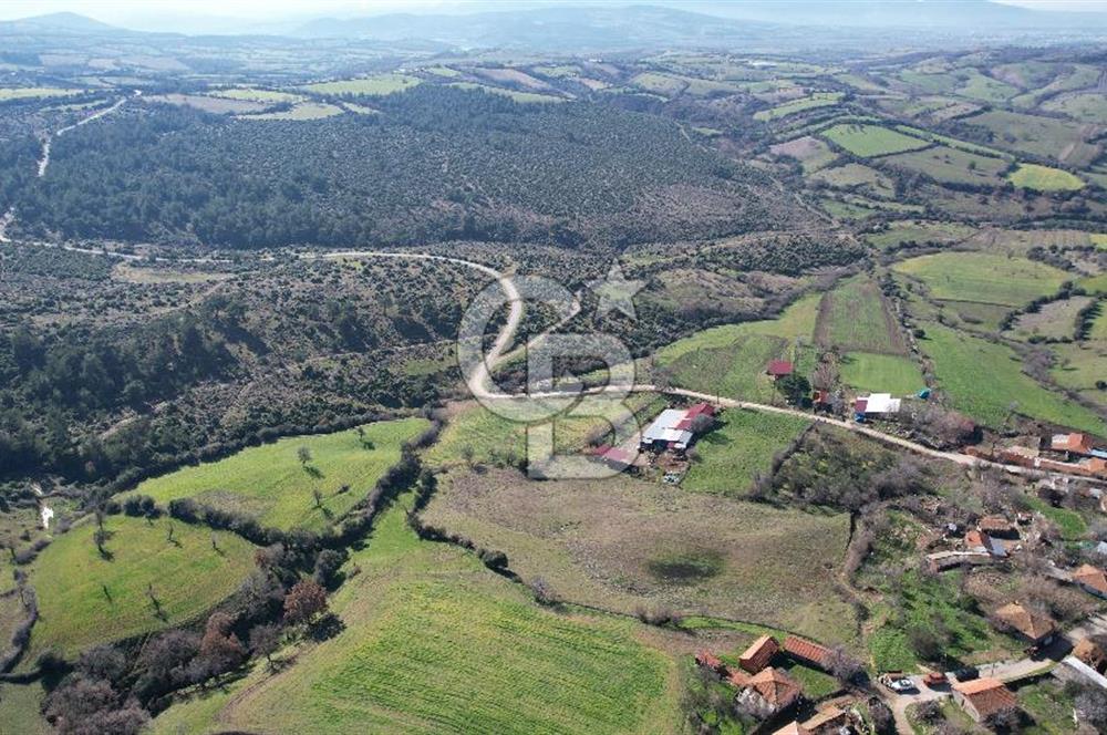 Çanakkale Bayramiç Yeniceköy Satılık Arsa 7630 M2 İmarlı
