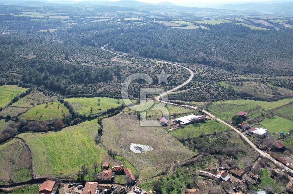 Çanakkale Bayramiç Yeniceköy Satılık Arsa 7630 M2 İmarlı