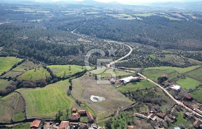 Çanakkale Bayramiç Yeniceköy Satılık Arsa 7630 M2 İmarlı