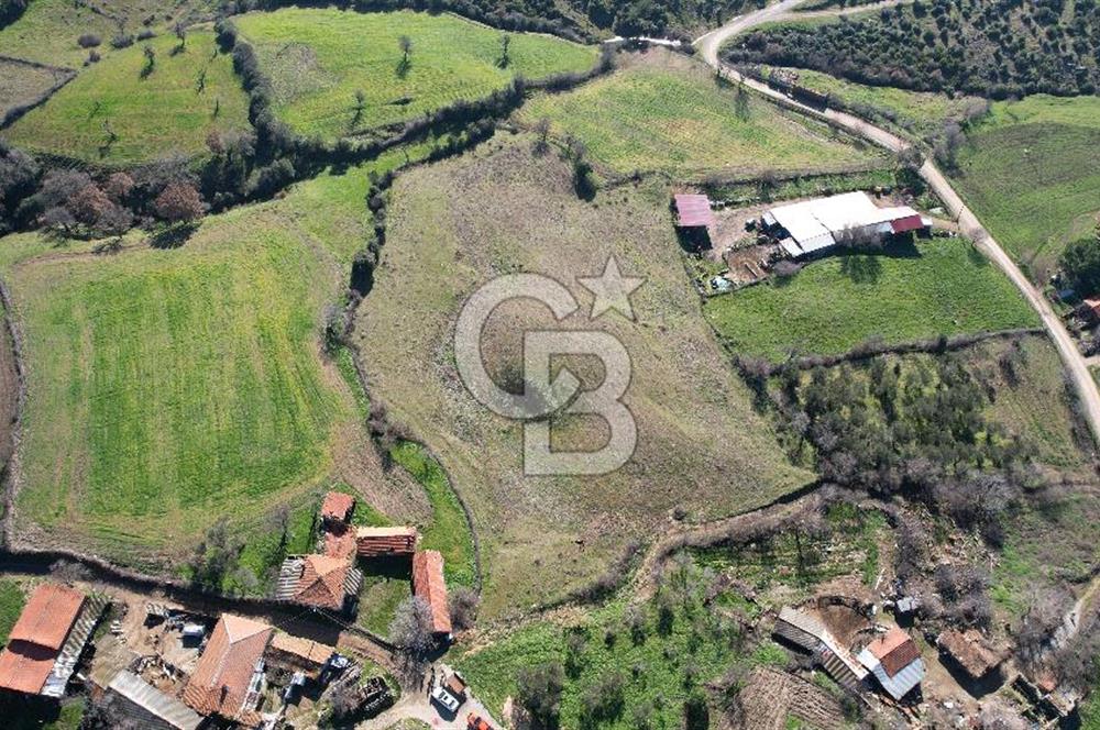 Çanakkale Bayramiç Yeniceköy Satılık Arsa 7630 M2 İmarlı