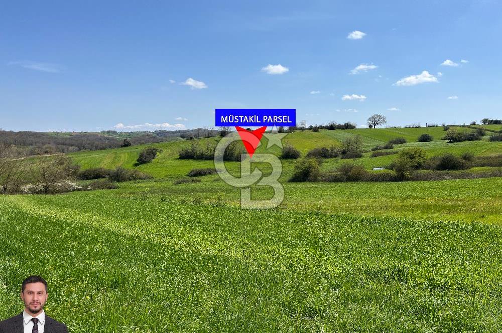 Kandıra Balcı da Ana yola Yakın Satılık Tek Tapu 270 m² Tarla