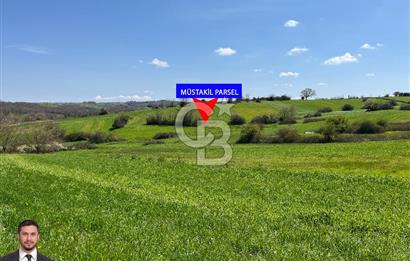 Kandıra Balcı da Ana yola Yakın Satılık Tek Tapu 270 m² Tarla
