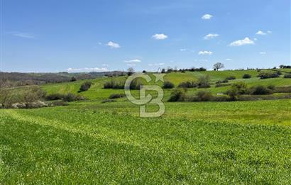 Kandıra Balcı da Ana yola Yakın Satılık Tek Tapu 270 m² Tarla
