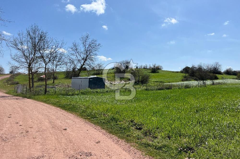 Kandıra Balcı da Ana yola Yakın Satılık Tek Tapu 270 m² Tarla