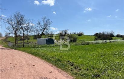 Kandıra Balcı da Ana yola Yakın Satılık Tek Tapu 270 m² Tarla