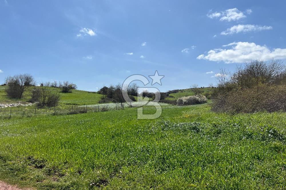 Kandıra Balcı da Ana yola Yakın Satılık Tek Tapu 270 m² Tarla
