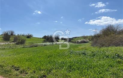 Kandıra Balcı da Ana yola Yakın Satılık Tek Tapu 270 m² Tarla