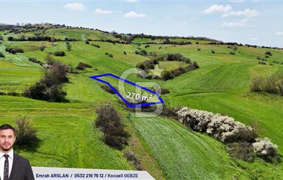 Kandıra Balcı da Ana yola Yakın Satılık Tek Tapu 270 m² Tarla