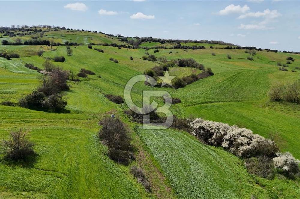 Kandıra Balcı da Ana yola Yakın Satılık Tek Tapu 270 m² Tarla