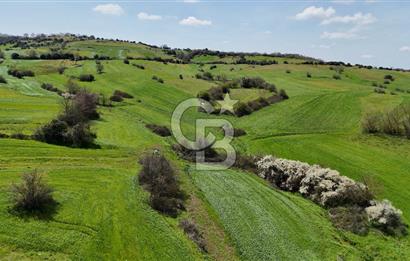 Kandıra Balcı da Ana yola Yakın Satılık Tek Tapu 270 m² Tarla