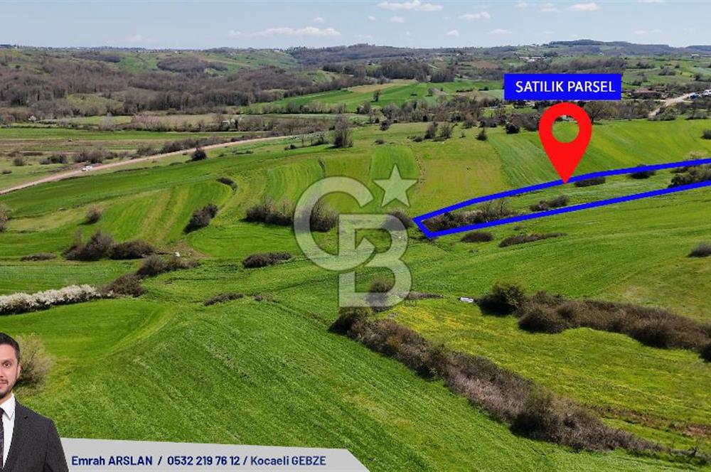 Kandıra Balcı da Ana yola Yakın Satılık Tek Tapu 270 m² Tarla