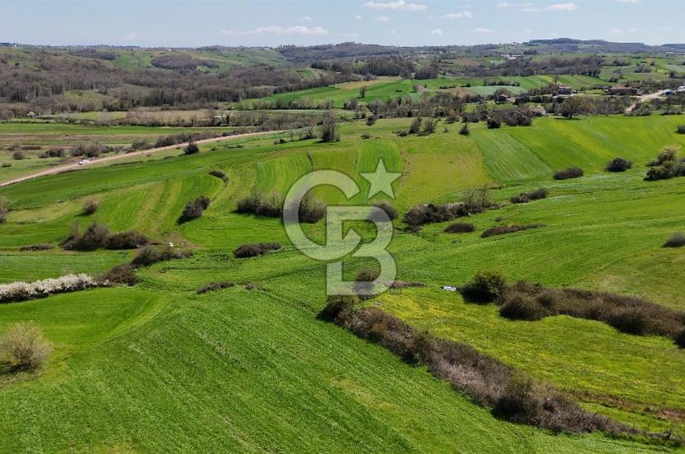 Kandıra Balcı da Ana yola Yakın Satılık Tek Tapu 270 m² Tarla