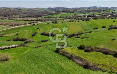 Kandıra Balcı da Ana yola Yakın Satılık Tek Tapu 270 m² Tarla