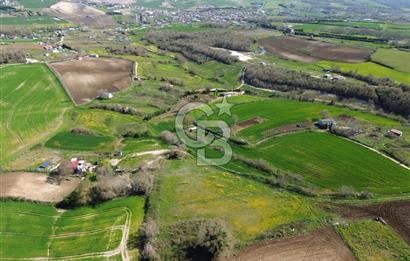 ÇATALCA DAĞYENİCEDE 3512 m2 SATILIK ARSA