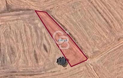 ANTALYA AKSU YEŞİLKARAMAN DA ACİL SATILIK YATIRIMLIK TARLA