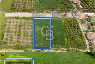 ORTACA YERBELENİDE İMARA SINIR RIZAİ TAKSİMLİ SATILIK TARLA - 1 - 345514