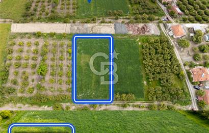 ORTACA YERBELENİDE İMARA SINIR RIZAİ TAKSİMLİ SATILIK TARLA