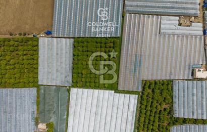 ANTALYA DEMRE KARABUCAK DA CB ARDEN DEN 3.291 m² SATILIK TARLA