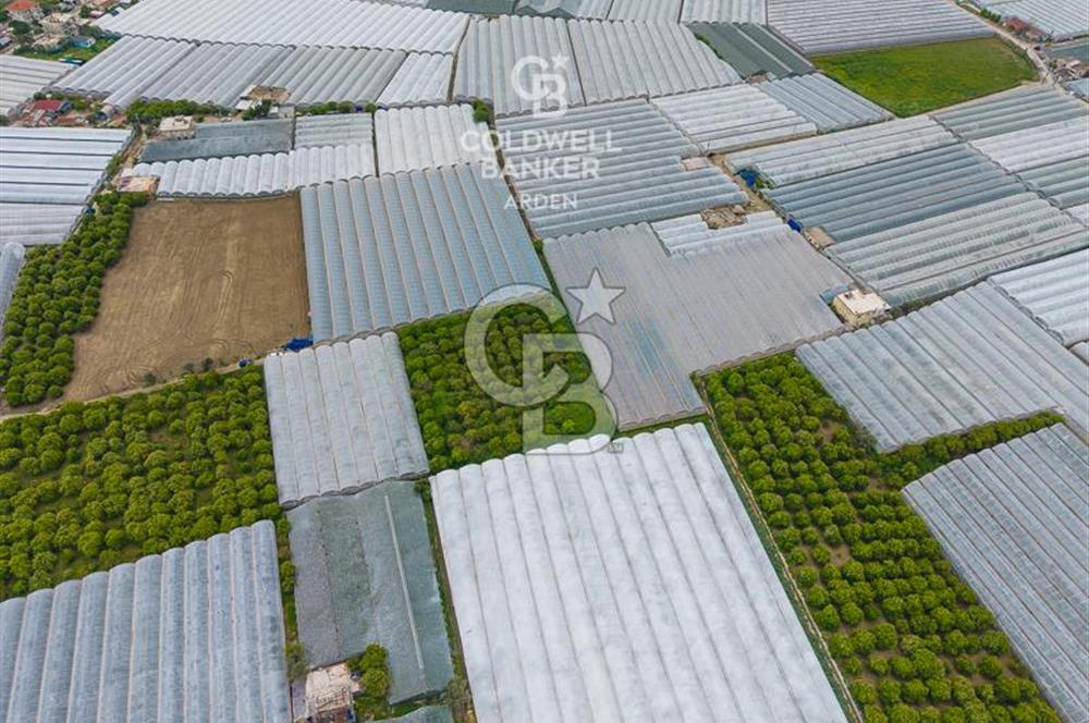 ANTALYA DEMRE KARABUCAK DA CB ARDEN DEN 3.291 m² SATILIK TARLA