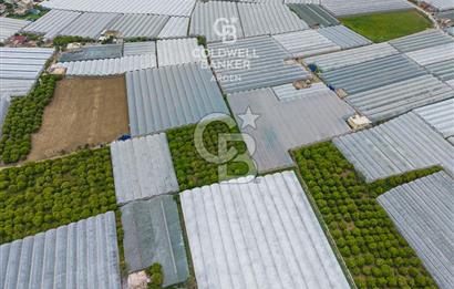 ANTALYA DEMRE KARABUCAK DA CB ARDEN DEN 3.291 m² SATILIK TARLA