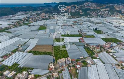 ANTALYA DEMRE KARABUCAK DA CB ARDEN DEN 3.291 m² SATILIK TARLA