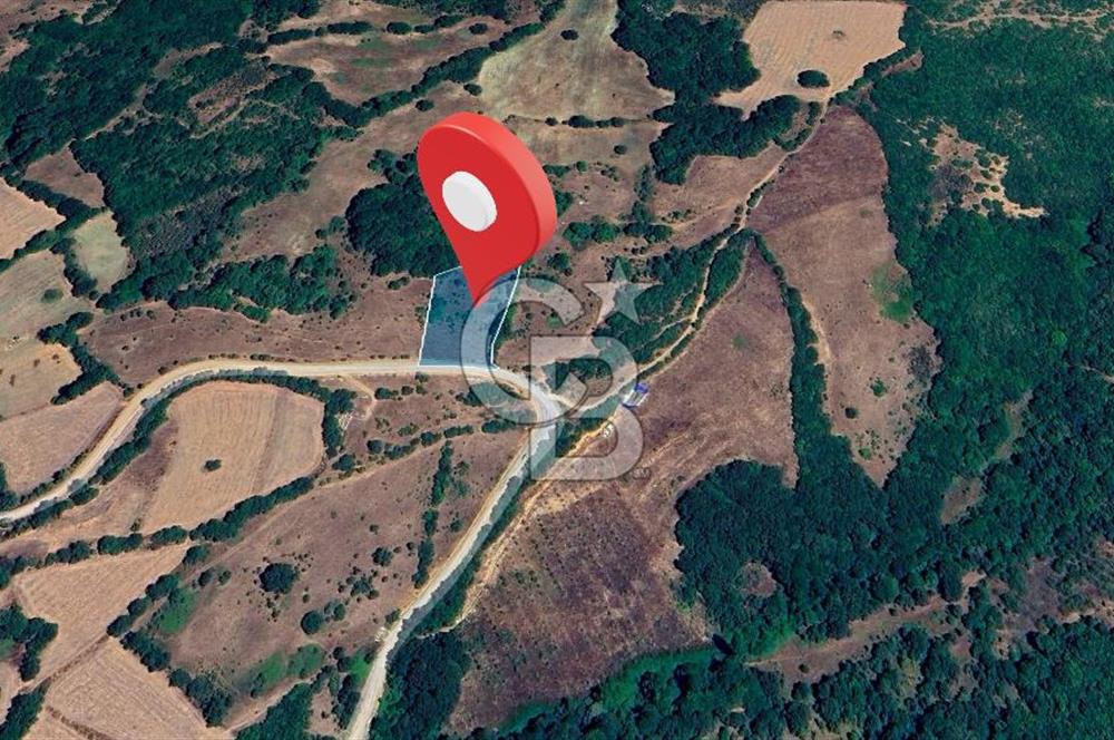 Susurluk İclaliye'de Yatırımlık 3.800 m², Yola Cephe Satılık