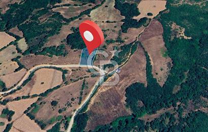 Susurluk İclaliye'de Yatırımlık 3.800 m², Yola Cephe Satılık