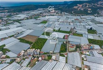 ANTALYA DEMRE KARABUCAK DA CB ARDEN DEN 3.291 m² SATILIK TARLA - 7 - 345589