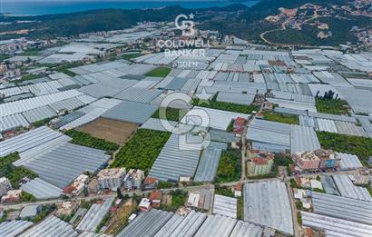 ANTALYA DEMRE KARABUCAK DA CB ARDEN DEN 3.291 m² SATILIK TARLA