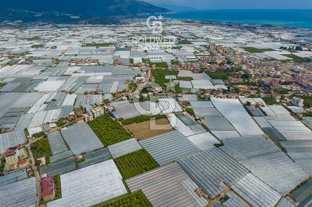 ANTALYA DEMRE KARABUCAK DA CB ARDEN DEN 3.291 m² SATILIK TARLA