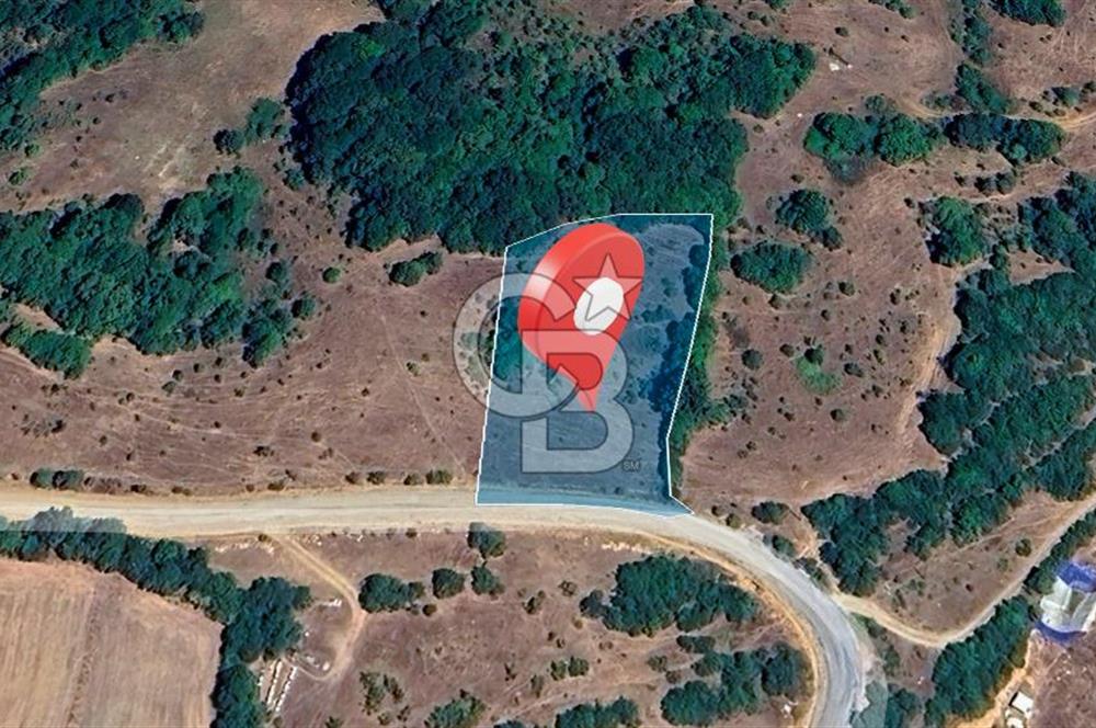 Susurluk İclaliye'de Yatırımlık 3.800 m², Yola Cephe Satılık