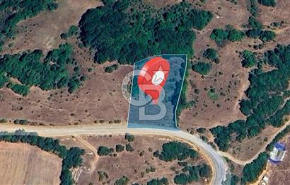 Susurluk İclaliye'de Yatırımlık 3.800 m², Yola Cephe Satılık