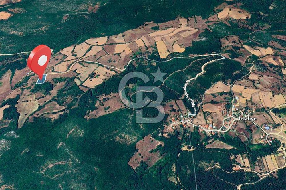 Susurluk İclaliye'de Yatırımlık 3.800 m², Yola Cephe Satılık