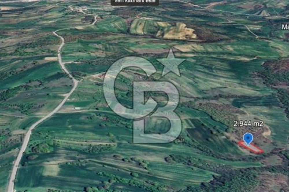 KOCAELİ KÖRFEZ DEREKÖY’DE  SATILIK ARSA | DOĞA İÇİNDE YATIRIM FIRSATI